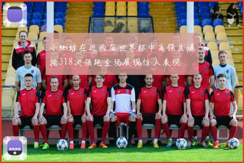 小蜘蛛在近两届世界杯中高强度逼抢318次领跑全场展现惊人表现