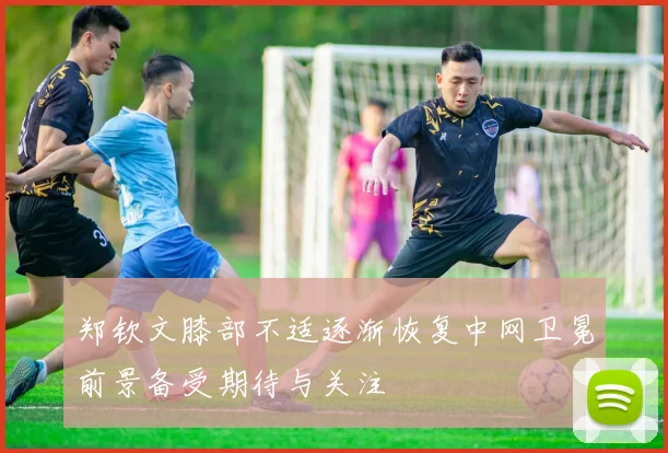 郑钦文膝部不适逐渐恢复中网卫冕前景备受期待与关注