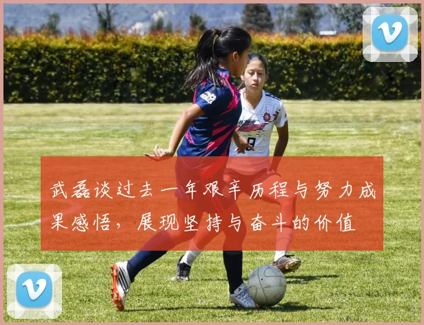 武磊谈过去一年艰辛历程与努力成果感悟，展现坚持与奋斗的价值